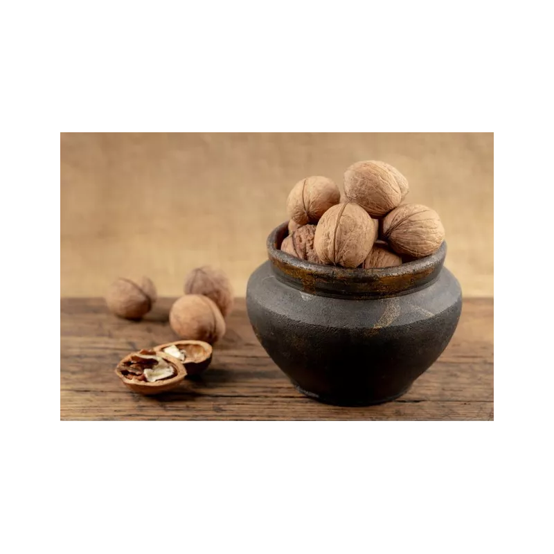 Organic Walnut Kernels in shell PDO From Perigord - direct producer Organic Walnut Kernels in shell PDO From Perigord - direct producer