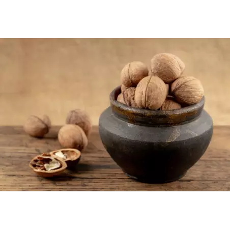Organic Walnut Kernels in shell PDO From Perigord - direct producer