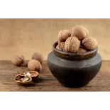 Organic Walnut Kernels in shell PDO From Perigord - direct producer
