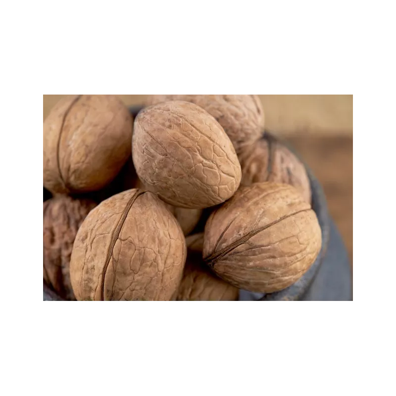 Cerneaux De Noix Bio en coque AOC AOP Du Périgord - direct producteur