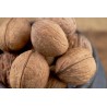 Organic Walnut Kernels in shell PDO From Perigord - direct producer
