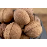 Organic Walnut Kernels in shell PDO From Perigord - direct producer