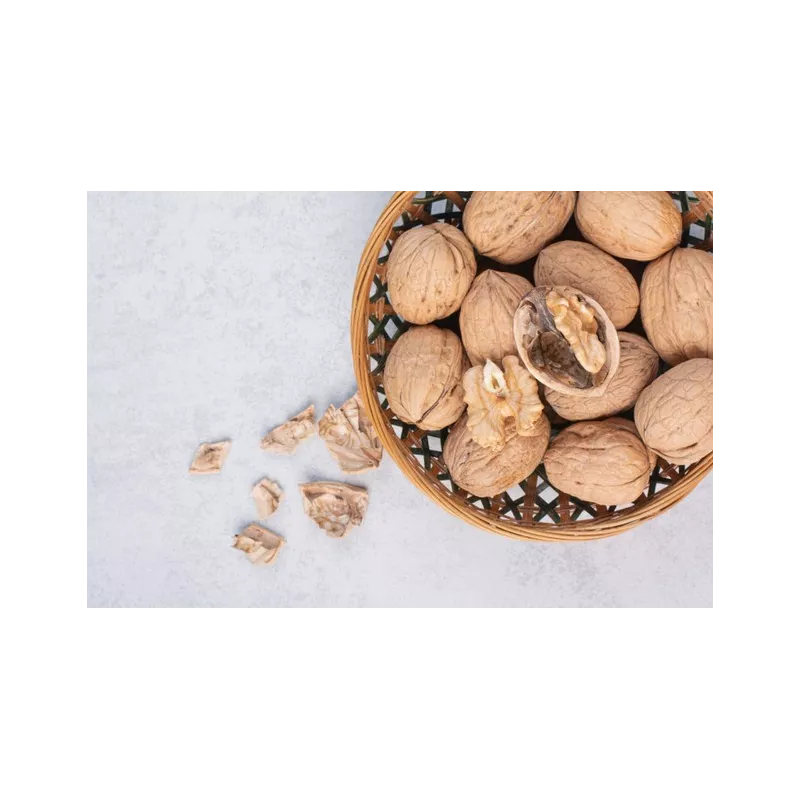 Cerneaux De Noix Bio en coque AOC AOP Du Périgord - direct producteur