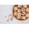 Organic Walnut Kernels in shell PDO From Perigord - direct producer