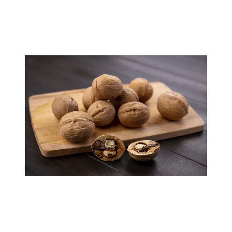 Organic Walnut Kernels in shell PDO From Grenoble - direct producer