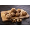 Organic Walnut Kernels in shell PDO From Grenoble - direct producer