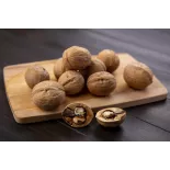 Organic Walnut Kernels in shell PDO From Grenoble - direct producer