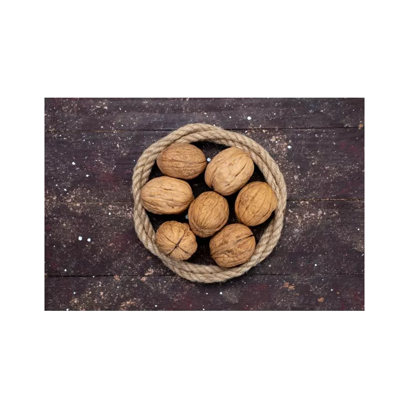 Organic Walnut Kernels in shell PDO From Grenoble - direct producer
