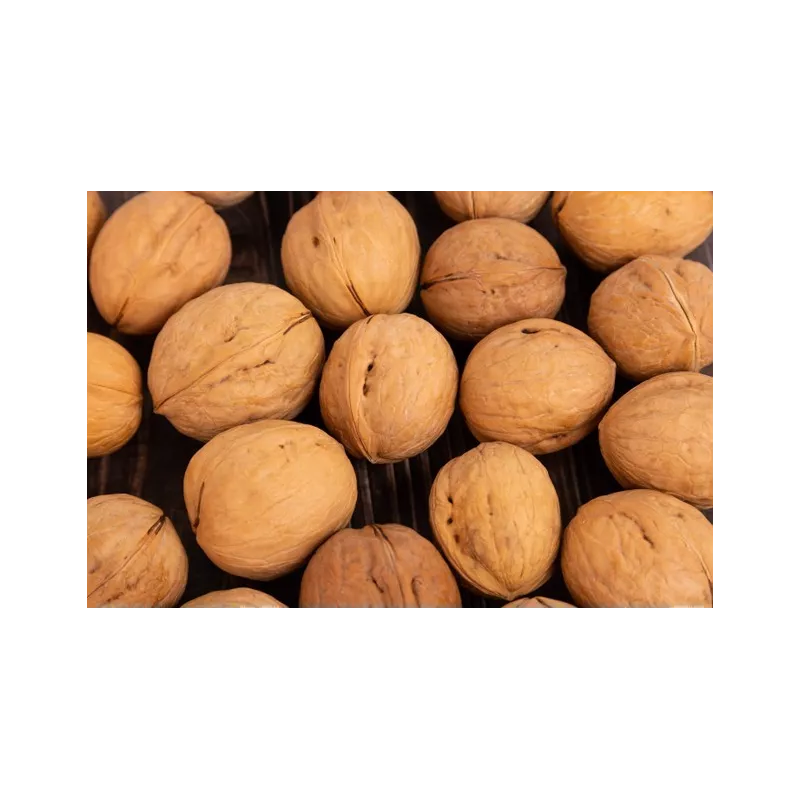 Cerneaux De Noix Bio en coque AOC AOP De Grenoble - direct producteur