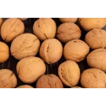 Cerneaux De Noix Bio en coque AOC AOP De Grenoble - direct producteur
