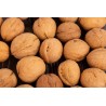 Organic Walnut Kernels in shell PDO From Grenoble - direct producer