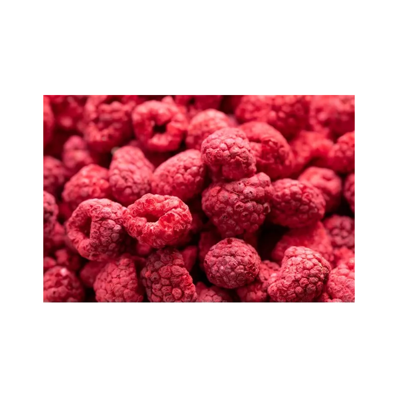 Organic dried raspberries from France - direct producer