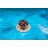 Organic dried Pitted mirabelle plums Label rouge & PGI from Lorrain...
