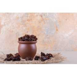 Organic dried pitted reine claude plums from Lot & Garonne - Direct...