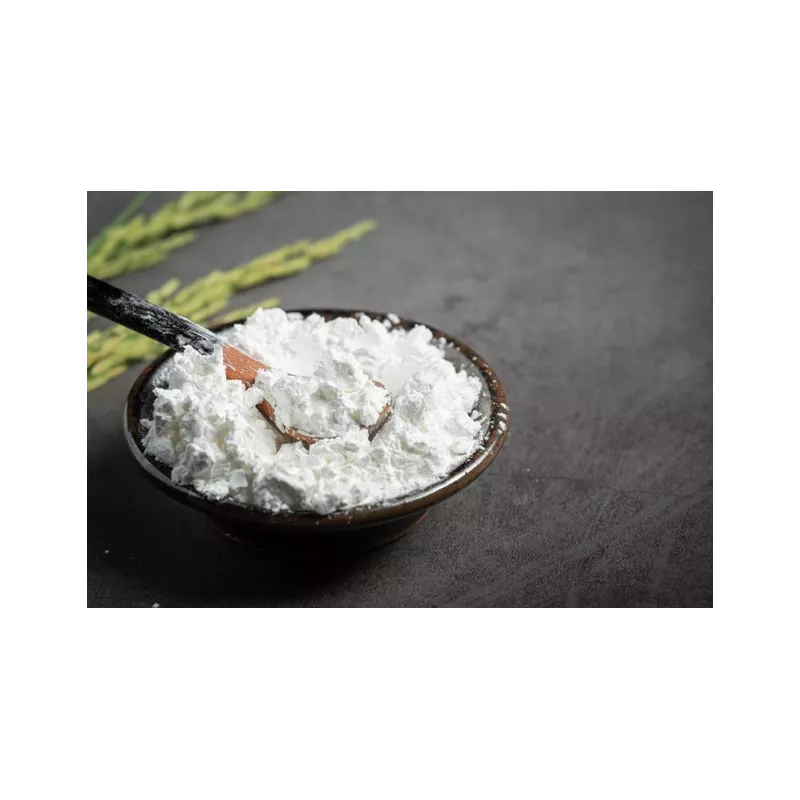 Farine bio de riz IGP de Camargue demi-complète sans gluten - Direc...