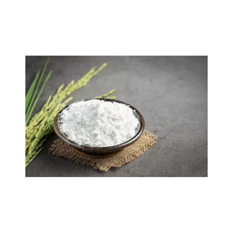 Farine bio de riz IGP de Camargue demi-complète sans gluten - Direc...