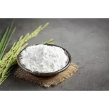 Farine bio de riz IGP de Camargue demi-complète sans gluten - Direc...