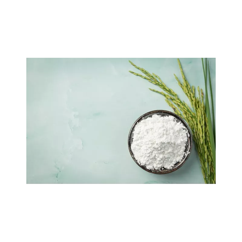 Farine bio de riz IGP de Camargue demi-complète sans gluten - Direc...