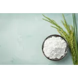 Farine bio de riz IGP de Camargue demi-complète sans gluten - Direc...