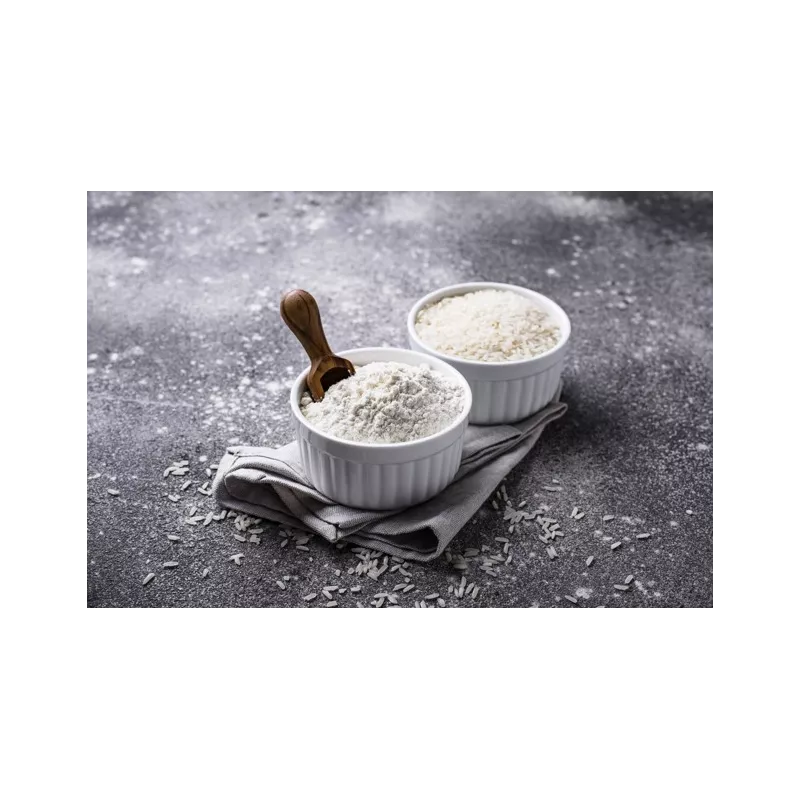 Farine bio de riz IGP de Camargue demi-complète sans gluten - Direc...