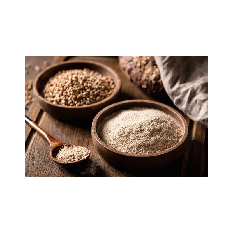 Gluten-free organic buckwheat flour from Gascogne - Direct producer