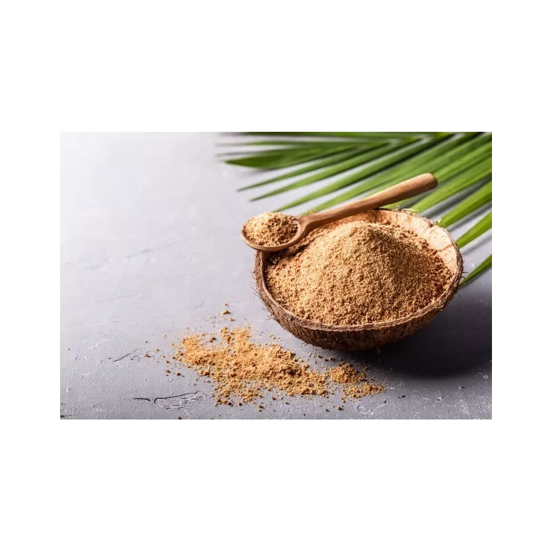 Organic & fairtrade palm Thnot blossom sugar PGI from Cambodia