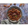 Organic pitted Medjool dates from the Oases of Morocco