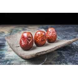 Organic & fairtrade dried Chinese red dates or jujubes or ziziphus ...