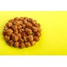 Whole hazelnut PDO Avellana de Reus peeled raw - Direct producer