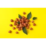 Noisette AOP Avellana de Reus décortiquée crue entière - Direct pro...