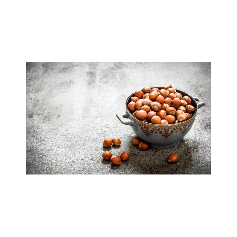 Organic hazelnuts in shell from Corsica - direct producer