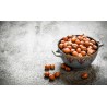 Organic hazelnuts in shell from Corsica - direct producer