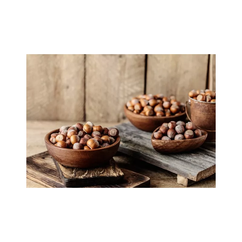 Organic hazelnuts in shell from Corsica - direct producer