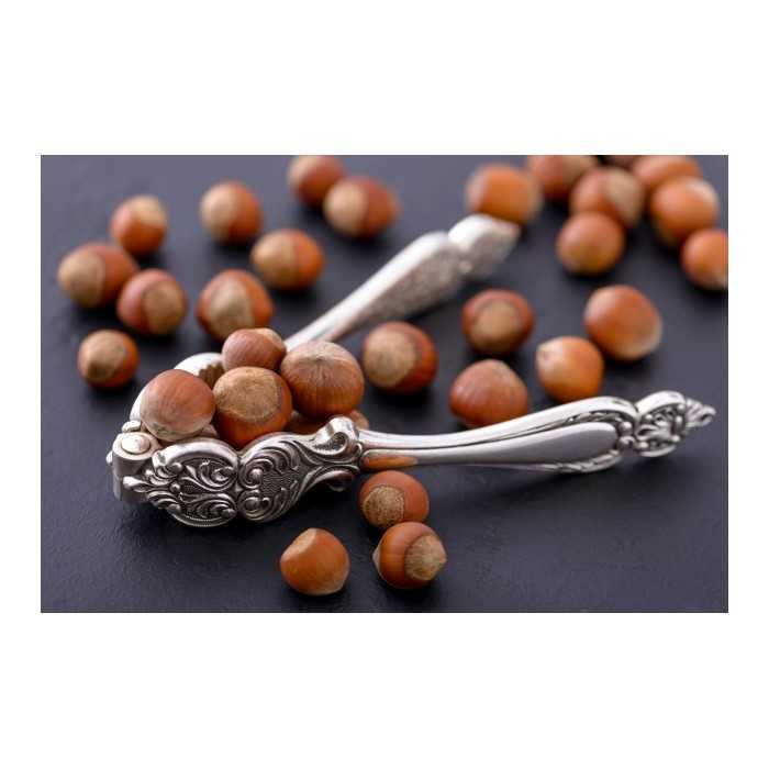 Organic hazelnuts in shell from Corsica - direct producer