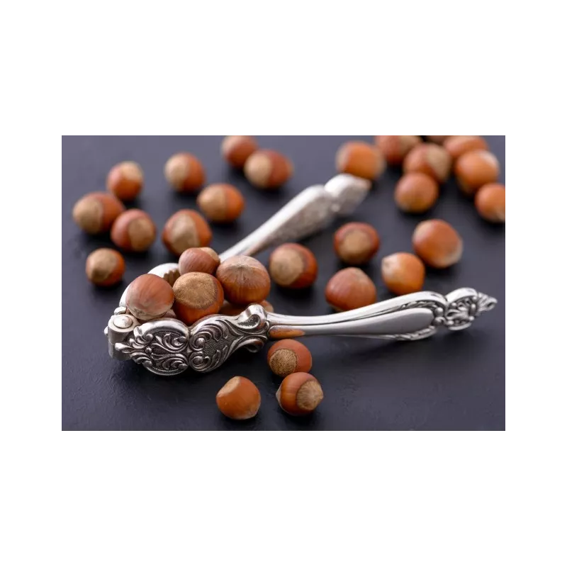 Organic hazelnuts in shell from Corsica - direct producer
