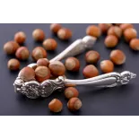 Organic hazelnuts in shell from Corsica - direct producer
