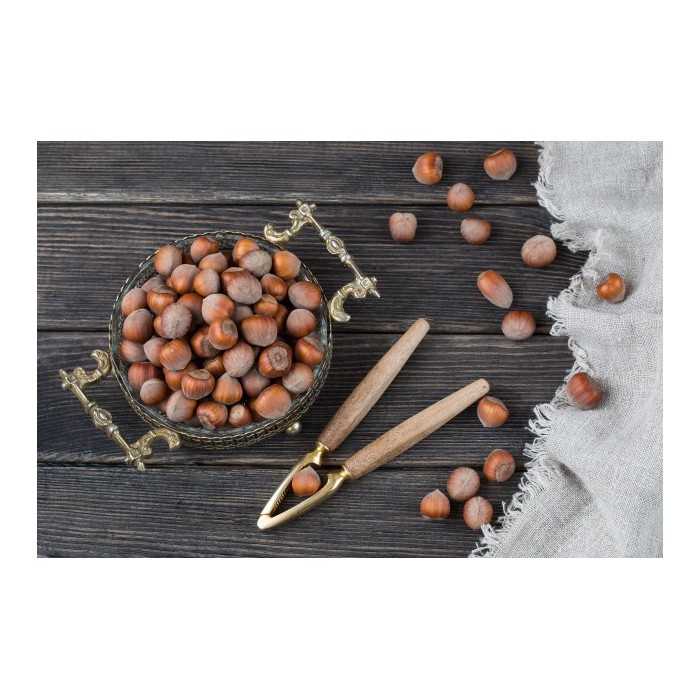 Organic hazelnuts in shell from Corsica - direct producer