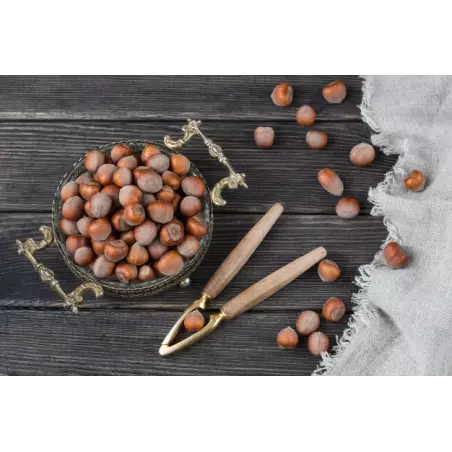Organic hazelnuts in shell from Corsica - direct producer