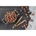 Organic hazelnuts in shell from Corsica - direct producer