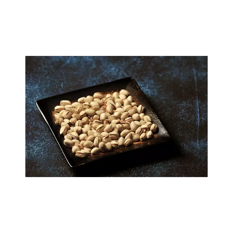 Organic pistachios PDO from Brontë in shell grilled & without salt