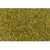 Organic crushed pistachios PDO from Bronte in Sicily - Direct producer