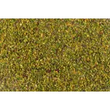 Organic crushed pistachios PDO from Bronte in Sicily - Direct producer