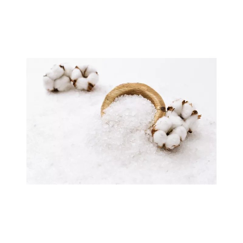Flower of salt PGI from Guérande In France - Direct producer