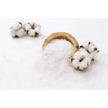 Flower of salt PGI from Guérande In France - Direct producer