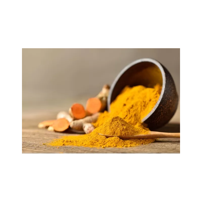 Curcuma naturel & équitable en poudre d'Haïti - Direct producteur