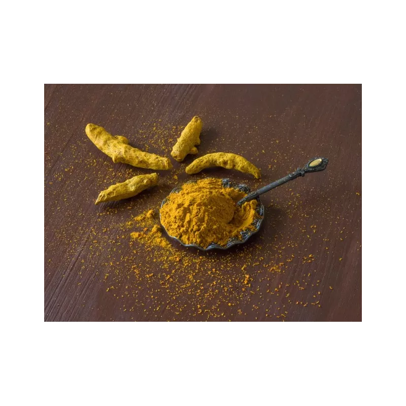 Curcuma blanc en poudre bio & fairtrade de Kampot - Direct producteur