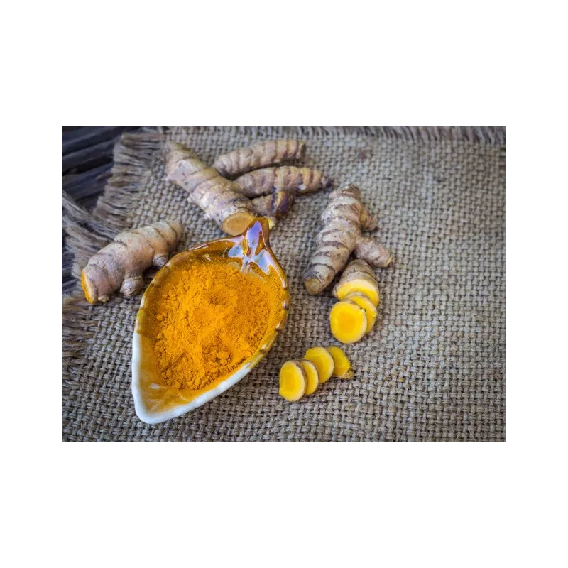 Curcuma blanc en poudre bio & fairtrade de Kampot - Direct producteur