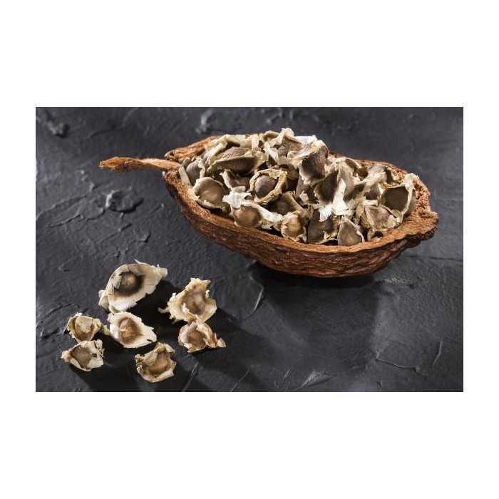 Graines de Moringa naturelles & équitables d'Haïti - Direct producteur