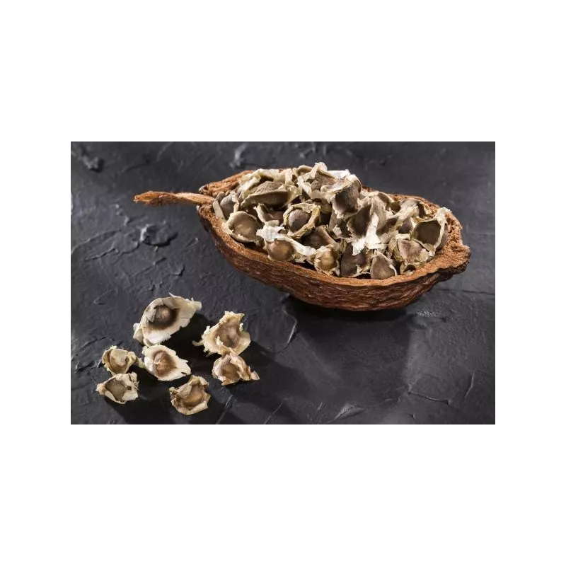 Graines de Moringa naturelles & équitables d'Haïti - Direct producteur
