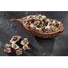 Graines de Moringa naturelles & équitables d'Haïti - Direct producteur